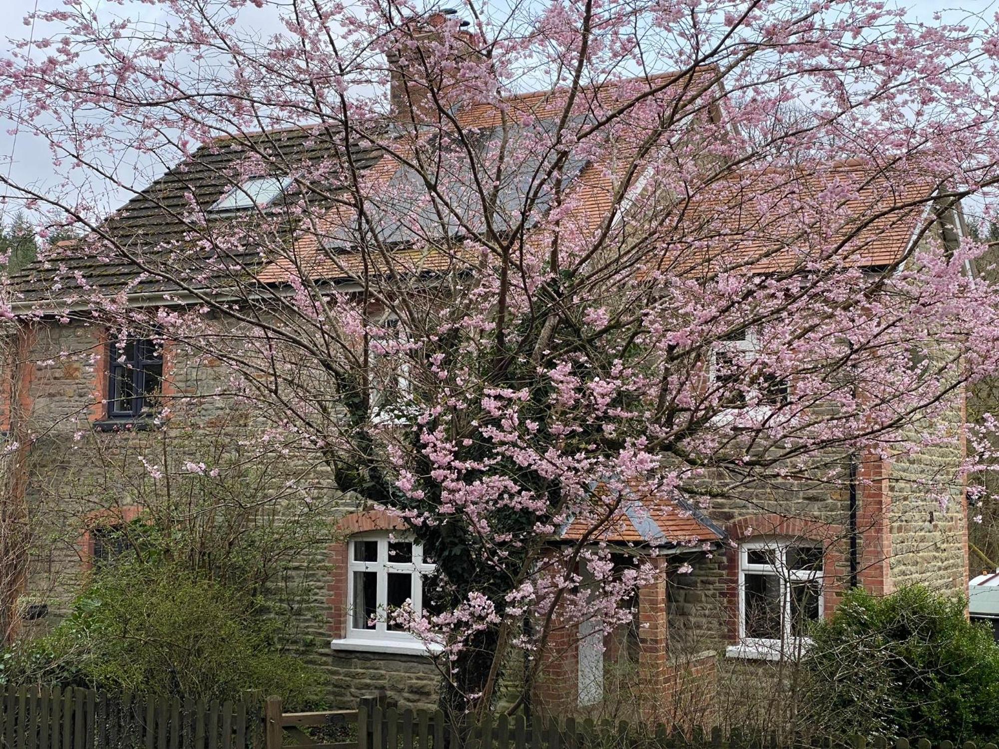 Willow Cottage Longney Buitenkant foto